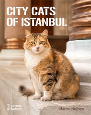 Buy City Cats Of Istanbul
