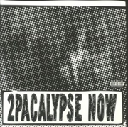 Buy 2Pacalypse Now - Picture Disc