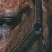 Buy Fundamental Slime