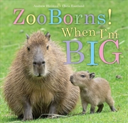 Buy Zooborns! When I'm Big