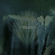 Buy Velcro Kid - Transparent Green Vinyl