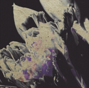 Buy Traversee 04 - Moving Silhouet