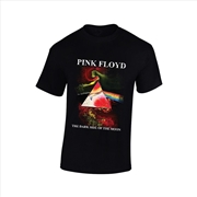 Buy Pink Floyd - Dark Side Of The Moon Art Print - Black - Large