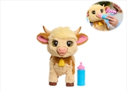 Buy FurReal Maggie the Feed & Follow Cow