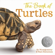 Buy The Book of Turtles
