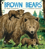 Buy Brown Bears