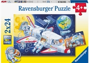 Buy Animals In Space 2x24p