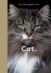 Buy New Photography Of The Cat. : The Best New Photography Of Cats.