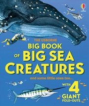 Buy Big Book Of Big Sea Creatures