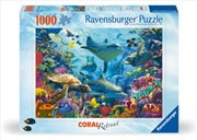 Buy Coral Retreat Puzzle 1000 Piece