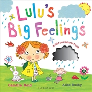 Buy Lulu's Big Feelings: A Mirror Book About Emotions