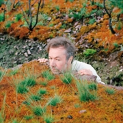 Buy The Mushroom Type