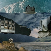 Buy The Little Assassination Handbook