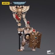 Buy Warhammer Collectibles: 1/18 Scale Adeptus Custodes Solar Watch Vexilus Praetor