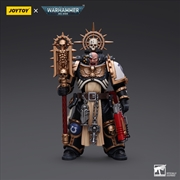 Buy Warhammer Collectibles: 1/18 Scale Ultramarines Chaplain (Indomitus)