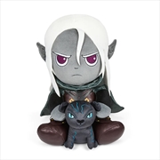 Buy Dungeons & Dragons Drizzt and Guenhwyvar 13" Plush by Kidrobot