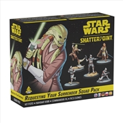 Buy Star Wars: Shatterpoint Requesting Your Surrender Squad Pack