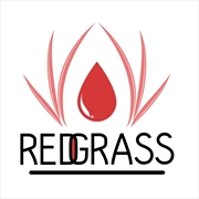 Buy Redgrass - Painter - V1 Orange Reusable Membranes for Everlasting Wet Palette
