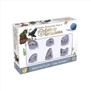 Buy Cats and Catacombs - Questing Tooth and Claw Volume 1