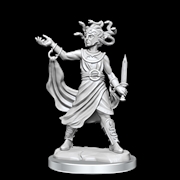 Buy D&D Frameworks Medusa