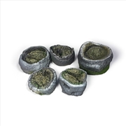 Buy Vallejo - Scenic Accessories - Palm Stumps