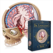 Buy Dr. Livingston's Anatomy Jigsaw Puzzle: The Human Brain