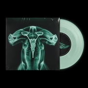 Buy Shark Brain / Dolphin