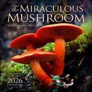 Buy Miraculous Mushroom 2026 Square Calendar