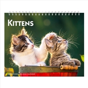 Buy Kittens 2026 Double View Desk Easel Calendar