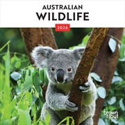 Buy Australian Wildlife 2026 Mini Calendar