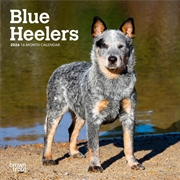 Buy Blue Heelers 2026 Mini Calendar
