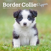 Buy Border Collie Puppies 2026 Mini Calendar