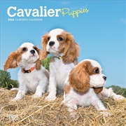 Buy Cavalier King Charles Spaniel Puppies 2026 Mini Calendar