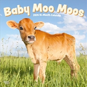 Buy Baby Moo Moos 2026 Square Calendar