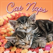 Buy Cat Naps 2026 Square Calendar
