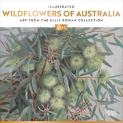Buy Illustrated Wildflowers of Australia 2026 Square Calendar