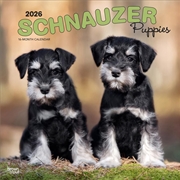 Buy Schnauzer Puppies 2026 Square Calendar