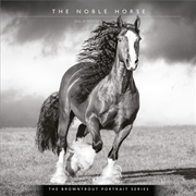 Buy The Noble Horse, BT Portrait Series 2026 Square Calendar