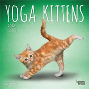 Buy Yoga Kittens 2026 Mini Calendar