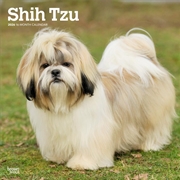 Buy Shih Tzu 2026 Square Calendar