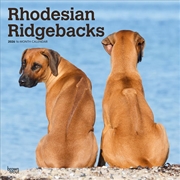 Buy Rhodesian Ridgebacks 2026 Square Calendar
