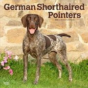 Buy German Shorthaired Pointers 2026 Square Calendar