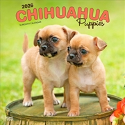 Buy Chihuahua Puppies 2026 Square Calendar