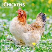 Buy Chickens 2026 Square Calendar
