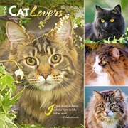 Buy Cat Lovers 2026 Square Foil Calendar