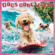Buy Avanti Dogs Gone Wild 2026 Square Calendar