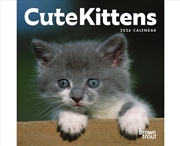 Buy Cute Kittens 2026 Mini Calendar