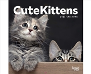 Buy Cute Kittens 2026 Square Calendar
