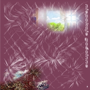 Buy Niepokoje Goscinne