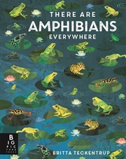Buy There Are Amphibians Everywhere